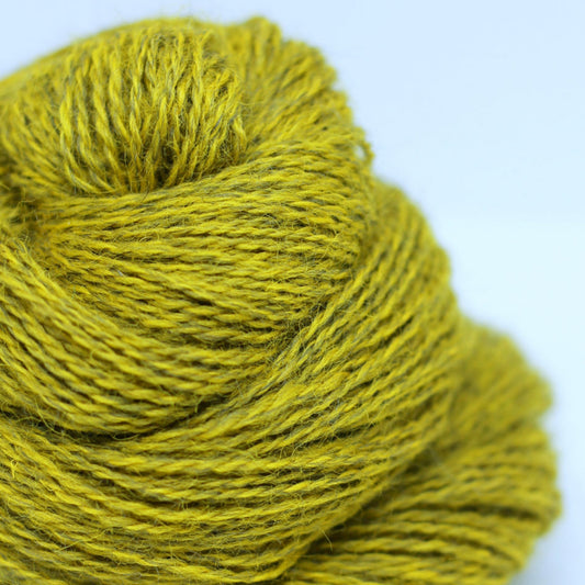 Appledore Aran - Golden Knob