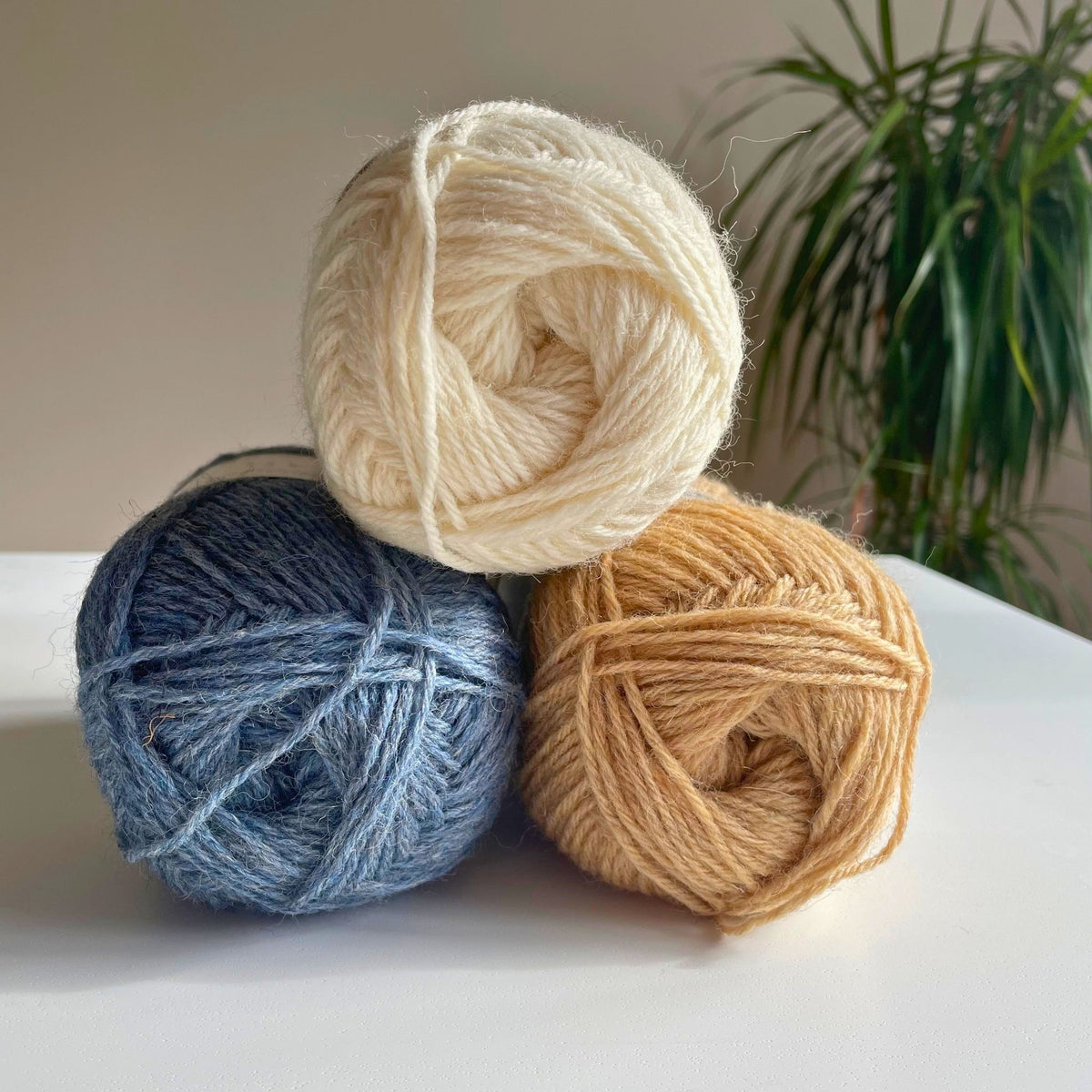 Warth Mill Colour Pack - Coastal